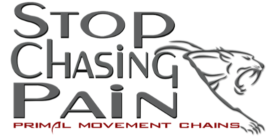 Paul McIlroy Interview on Stop Chasing Pain Podcast!
